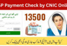 Benazir Income Support