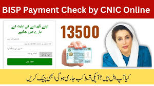 Benazir Income Support